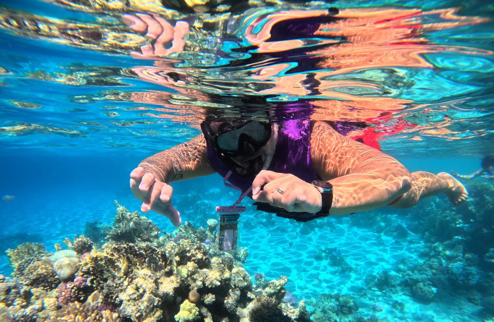 Ras Mohamed Nature Park transfer